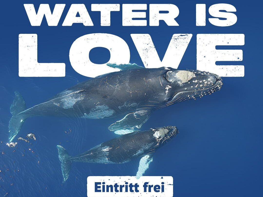 Plakat Kinofilm Water is Love